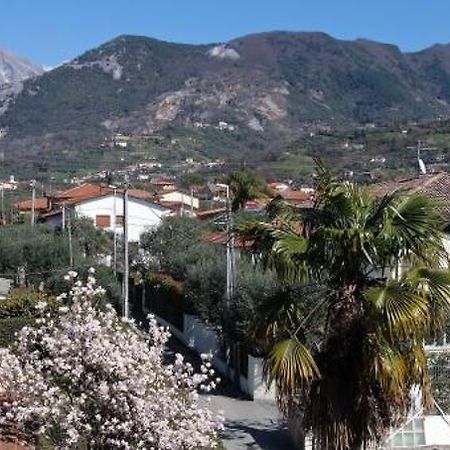 House Versilia Luca E Giada, 10 minuti da Forte dei Marmi Exterior foto